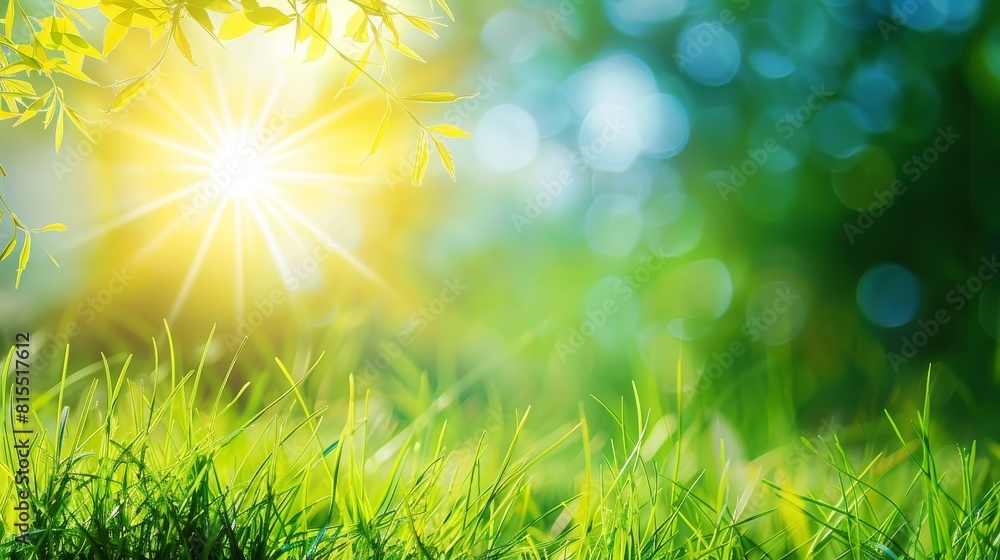 Fototapeta premium Abstract spring, summer grass meadow field. Beautiful fresh nature landscape environment.