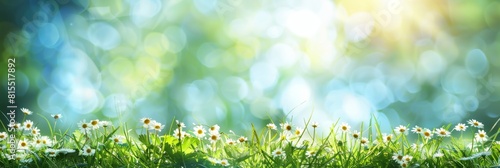 Abstract spring, summer grass meadow field. Beautiful fresh nature landscape environment.
