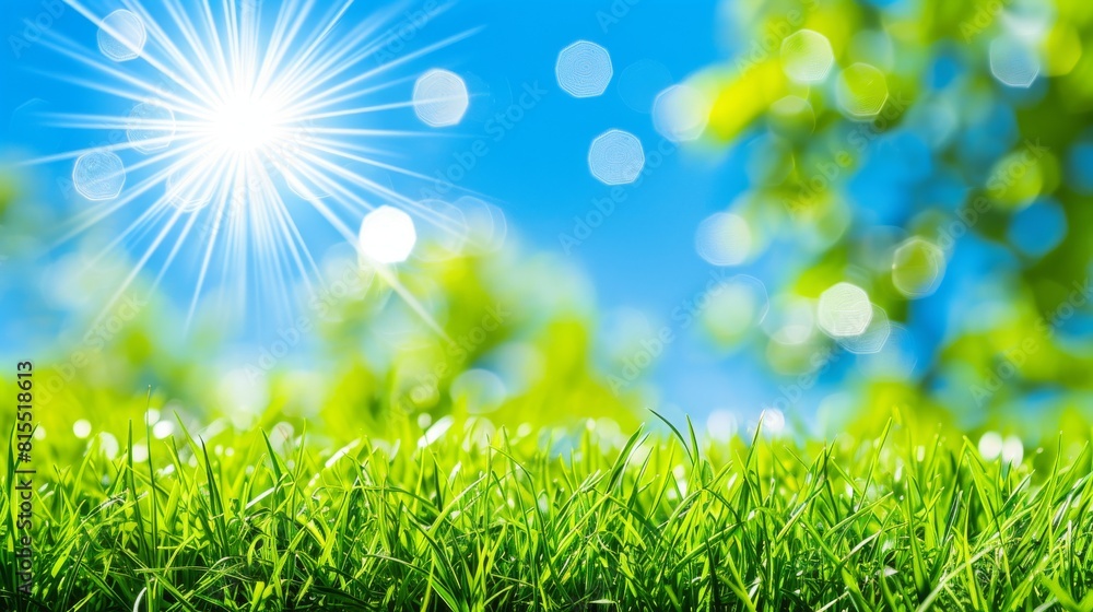 Fototapeta premium Abstract spring, summer grass meadow field. Beautiful fresh nature landscape environment.