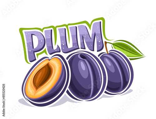 Vector logo for Plum, decorative horizontal poster with outline illustration of plum composition with green leaf on stem, cartoon design label with chopped plum part with seed on white background