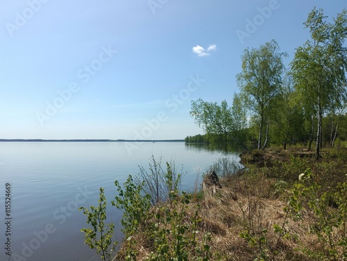 Rekyva forest and lake during sunny summer day. Pine and birch tree woodland. Wavy lake. Bushes and small trees are growing in woods. Sunny day without clouds in blue sky. Nature. Rekyvos miskas.	 photo