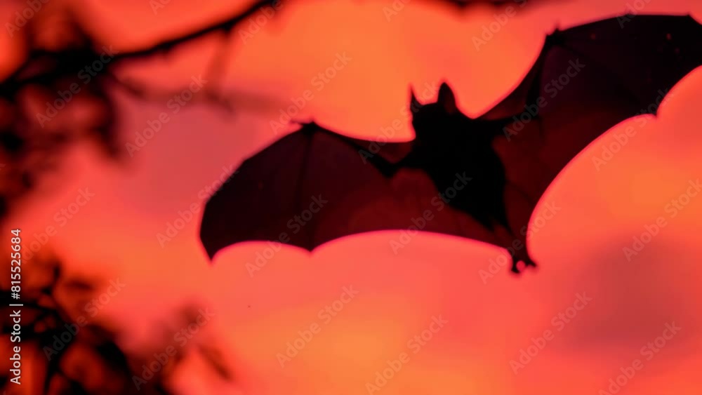 Black bat hanging upside down in a tree against a blood red sky, A black bat silhouetted against a blood-red sky Black bat hanging upside down in a tree against a blood red sky, A black bat silhouetted against a blood-red sky