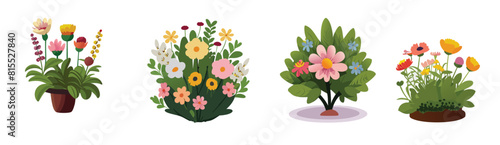 set of flowers 