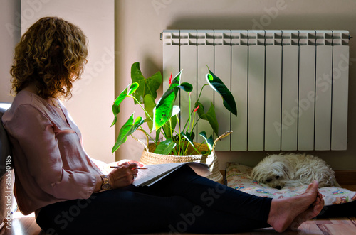 Woman studying at home, reclining on the home sofa next to the window