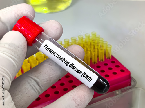 Blood sample for Chronic wasting disease (CWD) or zombie deer disease (RT PCR) test. It's a transmissible spongiform encephalopathy (TSE) affecting deer, photo