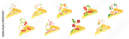 Tasty Pizza Slice Cut Float with Topping Vector Set