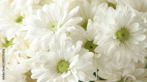 Close Up Image of a Bouquet of White Daisies