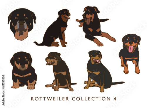 Rottweiler Dog Color Illustrations in Various Poses - Collection 4