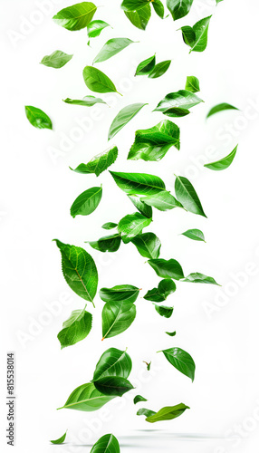 Vividly flying in the air green tea leaves isolated on white background