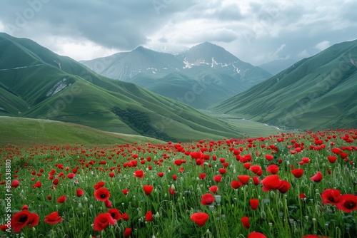 A Symphony of Red Poppy Flowers Amidst Mountain Majesty