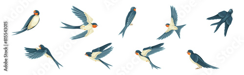 Swallow or Martin Passerine Bird with Long Tail and Pointed Wings Flying and Gliding Vector Set