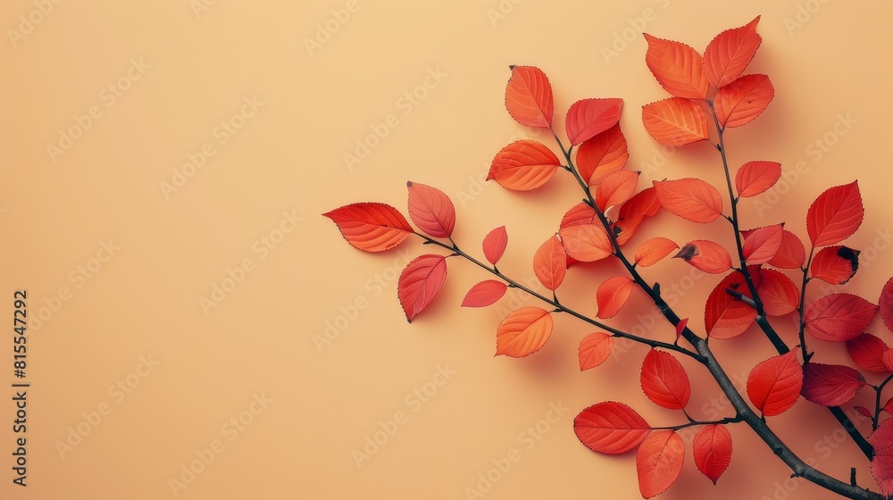 Autumn Season, Autumn Background, Falling Leaves. Autumn Season, Autumn Background, Falling Leaves.