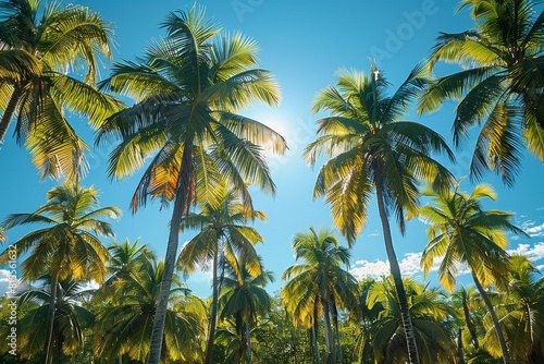Wallpaper Mural Palm Tree Forest in Tropical Paradise: Lush greenery with clear blue skies Torontodigital.ca