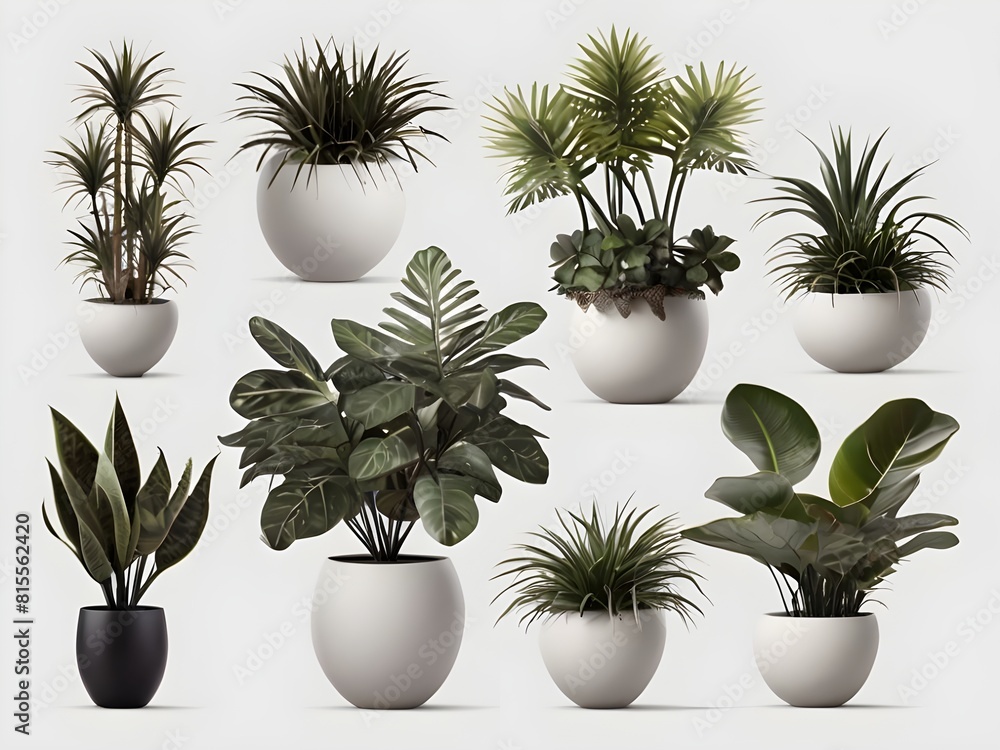 plants in pots With isolated White Background Generative Ai