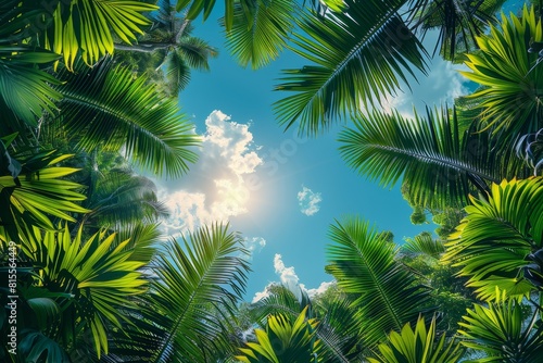 Palm Tree Forest in Tropical Paradise  Lush greenery with clear blue skies