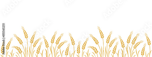 wheat, oat, rye seamless food stripe with stalks