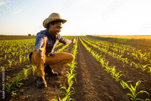 Portrait of african farmer in his growing corn field. He is satisfied with progress of plants.