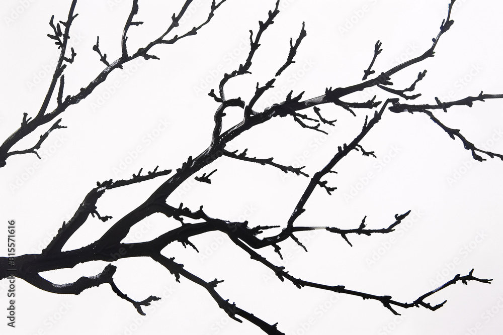 Silhouette of tree branches in high contrast against a white background Silhouette of tree branches in high contrast against a white background