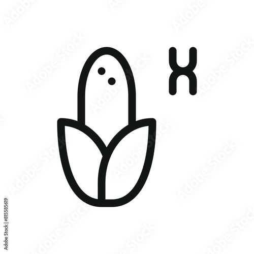 GMO maize isolated icon, genetically modified corn vector symbol with editable stroke