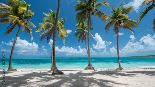 Exotic summer beach with palm trees  sea and sand. Secluded Serenity  Nestled between lush foliage and swaying palm trees  a hidden beach offers a quiet retreat from the outside world.