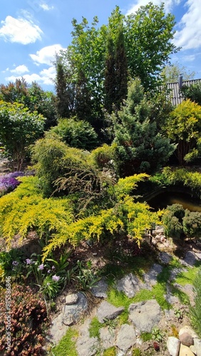 Landscape design garden. A beautifully landscaped garden near the house. Decorative elements. Garden path 
moss covered rocks