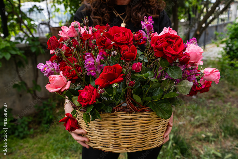 A happy woman holding a basket of red and pink roses in her lap. A happy woman holding a basket of red and pink roses in her lap.