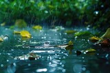 The Artistic Beauty of Rain Water Drops