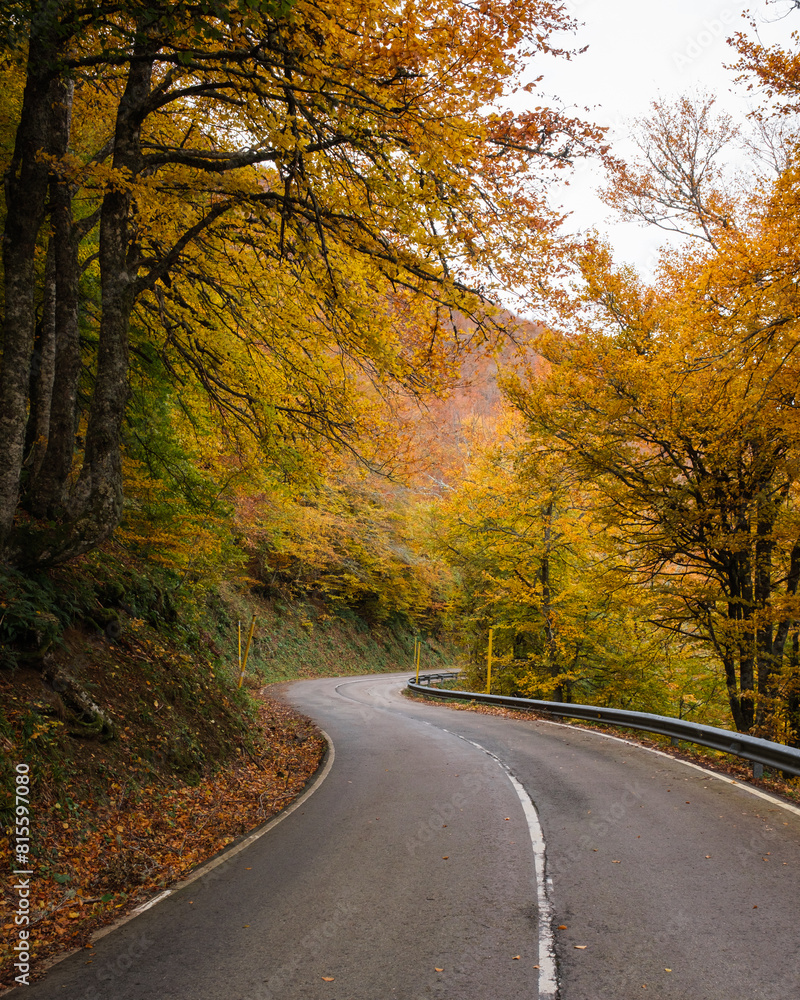 Winding road through an fall beech forest with yellowing leaves. Winding road through an fall beech forest with yellowing leaves.