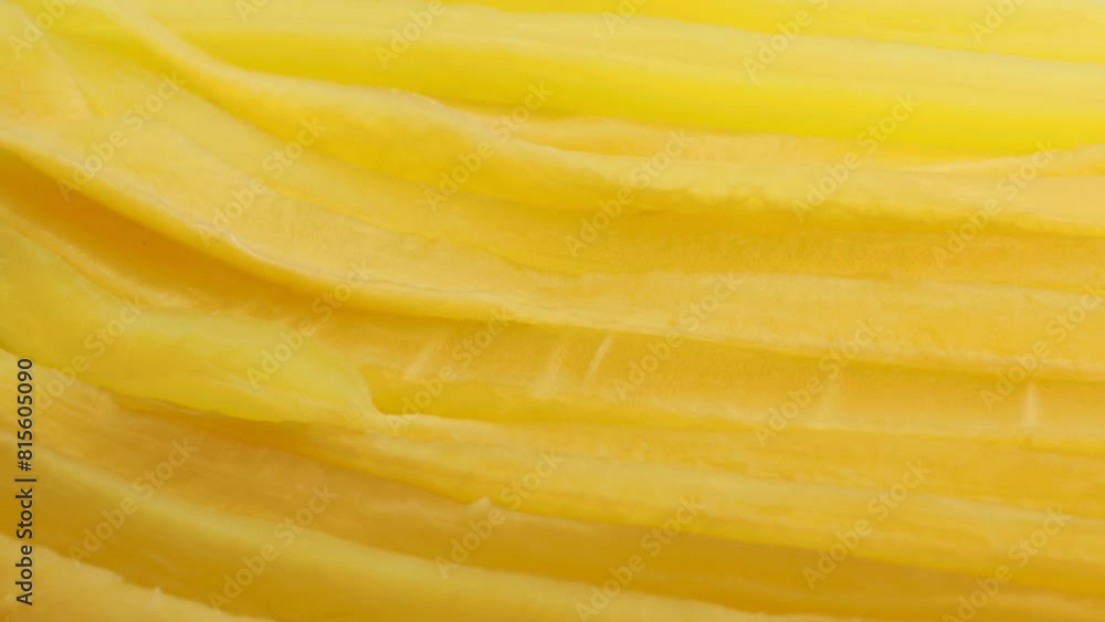 Bright yellow pickled Radish, rotation in circle. Pickled daikon bars, Turning. Japanese cuisine. Bright yellow pickled Radish, rotation in circle. Pickled daikon bars, Turning. Japanese cuisine.