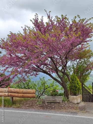 natura