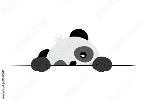 Adorable panda peeking out from behind