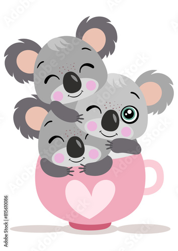 Photography Set of three cute koalas in tea cup