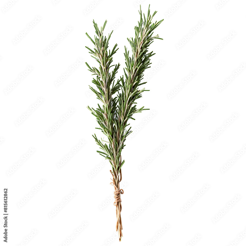 Dried rosemary needles dark green color slender leaves woody stems Food and culinary concept Dried rosemary needles dark green color slender leaves woody stems Food and culinary concept