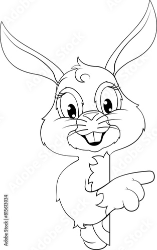Easter Bunny Rabbit Cartoon...
