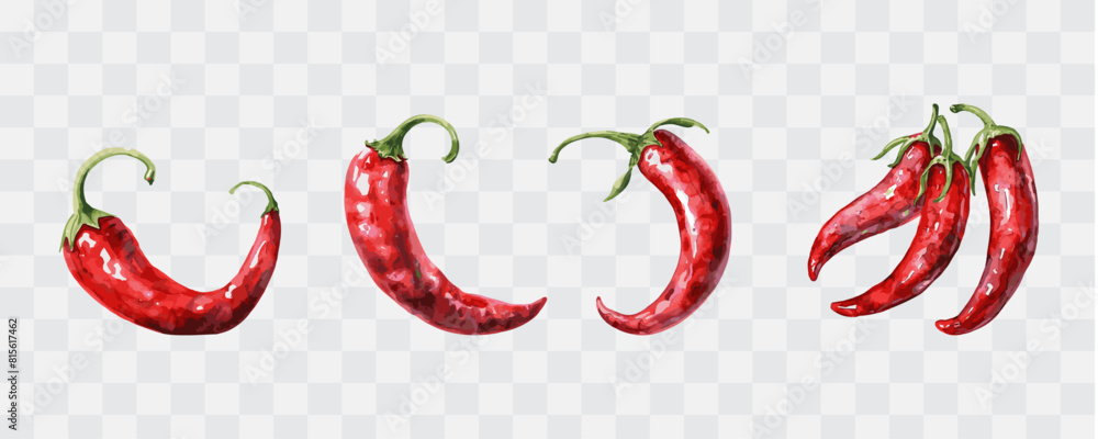 Chili watercolor isolated graphic transparent Chili watercolor isolated graphic transparent