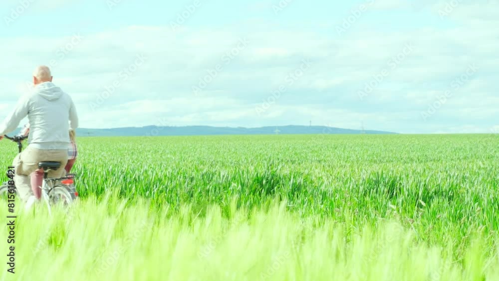 Pedaling expanse swaying green wheat fields, mature couple, man and woman riding bicycles together, beauty rural landscape, rustic beauty, journey metaphor life's path Pedaling expanse swaying green wheat fields, mature couple, man and woman riding bicycles together, beauty rural landscape, rustic beauty, journey metaphor life's path
