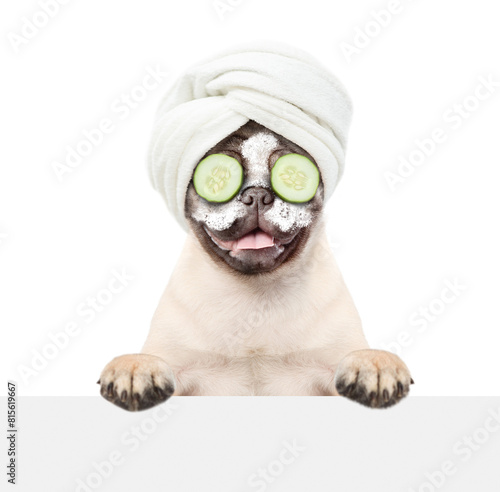 Funny Pug puppy with towel on it head  with pieces of cucumber on it eyes and with cream on it face looks above empty white banner. isolated on white background