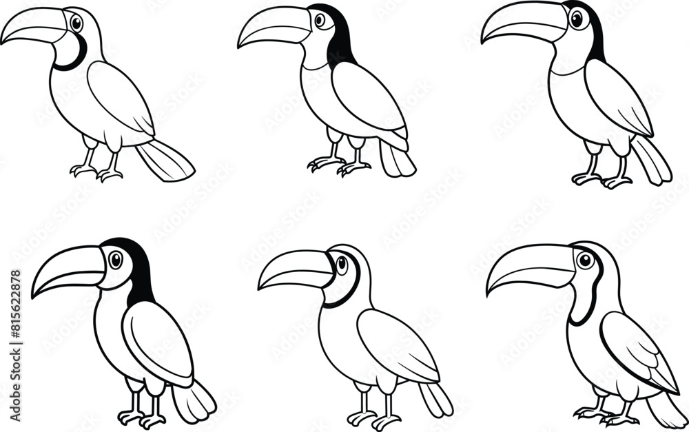 Obraz premium toucan vector illustration