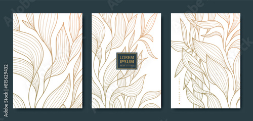 Vector set of luxury leaf gold backgrounds, flower patterns, abstract floral cards. Frames, beauty texture templates, art plant covers, elegant posters.