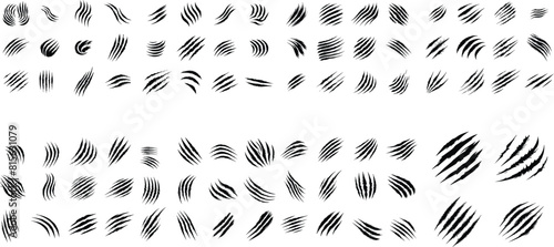 Wild animal claws scratch