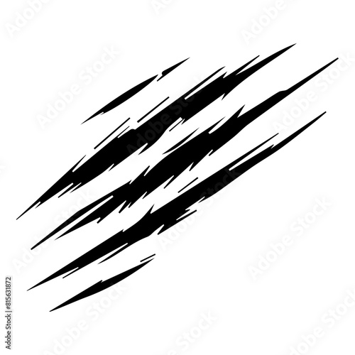Wild animal claws scratch