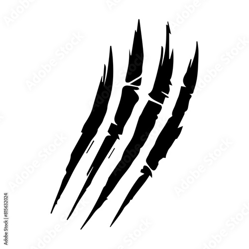 Wild animal claws scratch