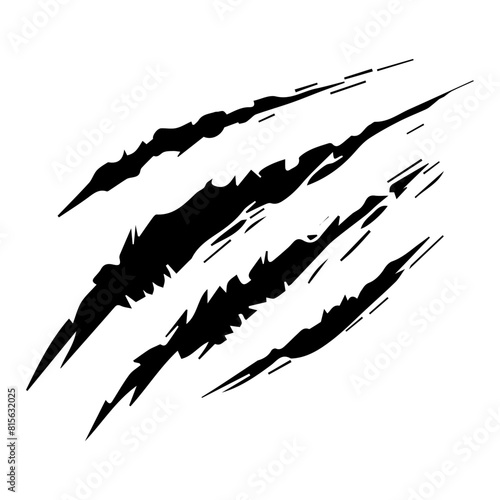 Wild animal claws scratch
