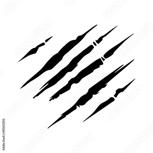 Wild animal claws scratch