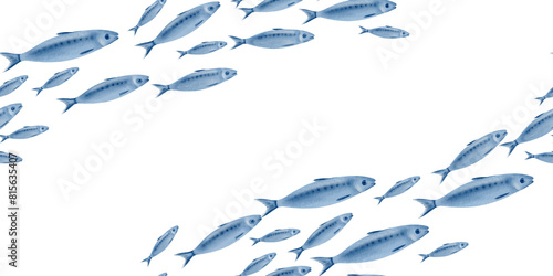 Photography Sardine fish in seamless diagonal border swimming in a shoal stylized watercolor