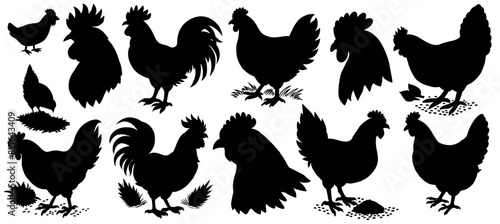 Chicken, hen and roosters in various poses, farming animals and birds in a rustic engraving linocut style, agricultural design purposes
