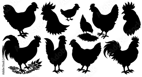 Chicken, hen and roosters in various poses, farming animals and birds in a rustic engraving linocut style, agricultural design purposes