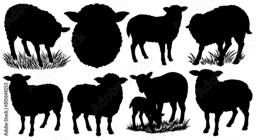 Detailed monochrome illustration, a set of eight sheep silhouettes in various poses, perfect for projects related to agriculture, farming, and animal husbandry