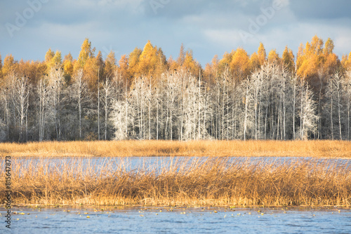 Serene autumnal landscape of Emajogi River in Tartu County, Estonia photo