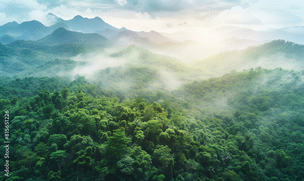 Obraz premium From a bird's eye view, you can see dense, green trees in the forest on the mountain slopes, which are a perfect example of harmonious coexistence between man and nature.